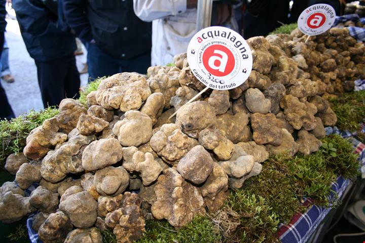 Tartufo delle Marche attraverso i suoi borghi | PaesiOnLine